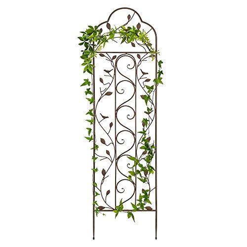Best Choice Products 60x15in Iron Arched Garden Trellis Fence Panel w/Branches, Birds for Climbing Plants – Bronze