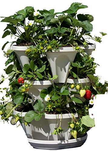 3 Tier Stackable Garden – Indoor / Outdoor Vertical Planter Set – Self Watering Tiers From Top Down – Grow Fresh Herbs In The Kitchen or Patio – Smart Planting Pots – Used for Strawberries Herbs Peppers Flowers and Succulents (Stone)