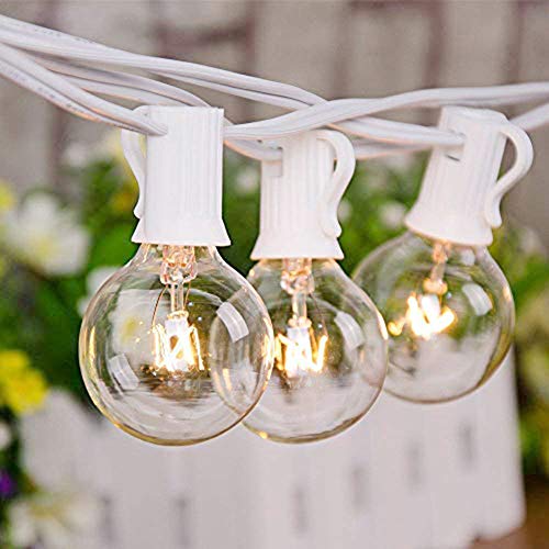 25FT String Lights, G40 Outdoor String Lights Edison Light Bulbs Clear Globe String Lights with 27 Clear Bulbs for Indoor/Outdoor Commercial Decoration -5 Watt/120 Voltage/E12 Base -White Wire