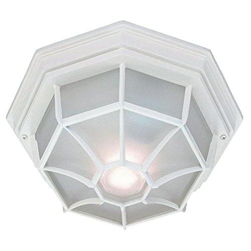 Acclaim 2002TW Flush Mount Collection 2-Light Ceiling Mount Outdoor Light Fixture, Textured White