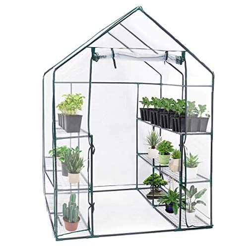 TOOCA Mini Greenhouse 12 Sturdy Shelves 56” X 56” X 77” Portable Walk-in Plants Greenhouse for Indoor/Outdoor Gardens, Patios, Backyards, for Growing Seeds, Young Plants, with Roll Up Zipper Door