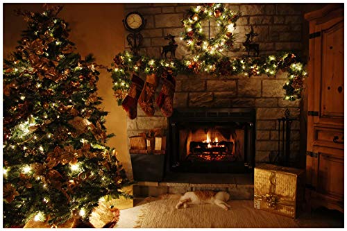 YQ Park Christmas Tree Fireplace Doormat Patio Rug Dirt Debris Mud Trapper Waterproof Out Door Mat Low Profile Washable Carpet