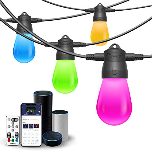 Govee Connectable WiFi Smart Outdoor String Light, DIY Color Changing Waterproof String Lights, Support Alexa/Google Home/Bluetooth/Remote Control for Patio, Fence, Wedding, Party 24ft 6 Bulbs