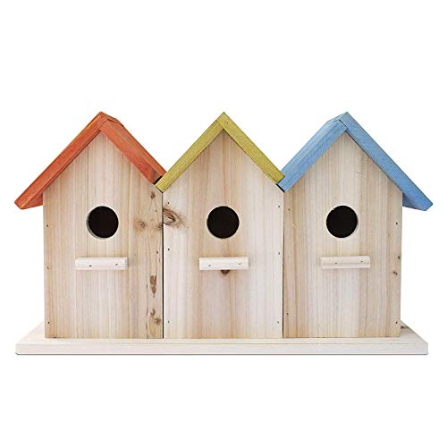 23 Bees 3 Hole Bird House for Outside/Indoors/Hanging | Kits for Children & Adults | Decorative Birdhouse & Home Decoration | Outdoors Feeder for Birds, Bluebirds, Wrens & Chickadees | All Weather