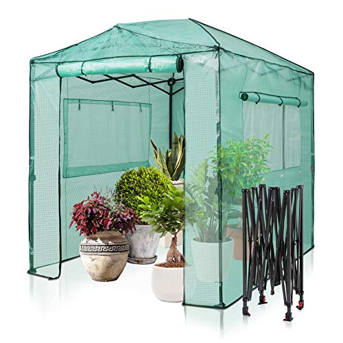 EAGLE PEAK 8’x6′ Portable Walk-in Greenhouse Instant Pop-up Fast Setup Indoor Outdoor Plant Gardening Greenhouse Canopy, Front and Rear Roll-Up Zipper Entry Doors and 2 Large Roll-Up Side Windows