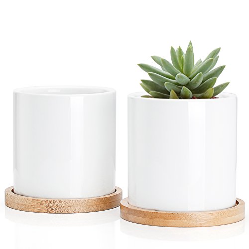Greenaholics Succulent Plant Pots – 3 Inch Ceramic Cylindrical Containers, Small Cactus Planters, Flower Pots with Drainage Hole, Bamboo Tray, Set of 2, White
